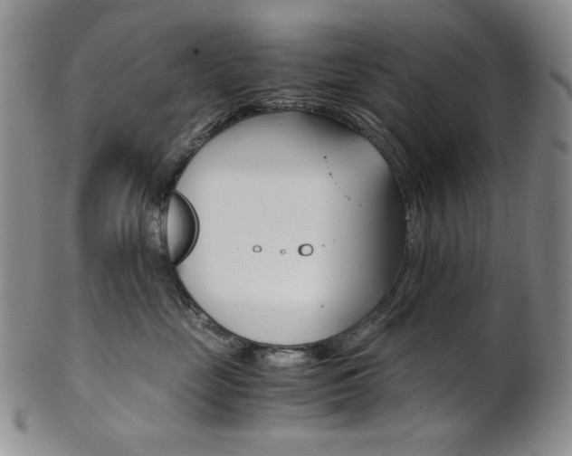 X0000101680669200807101146