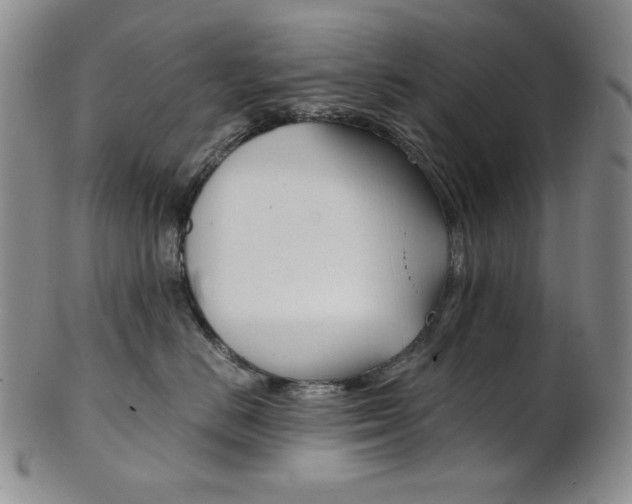 X0000101680670200807101146