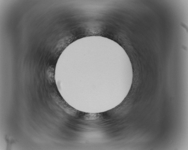 X0000101680672200807101146