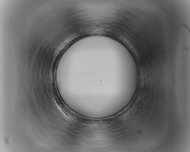 X0000101680674200807101145