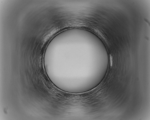 X0000101680675200807101145