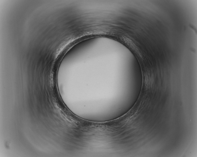 X0000101680676200807101145
