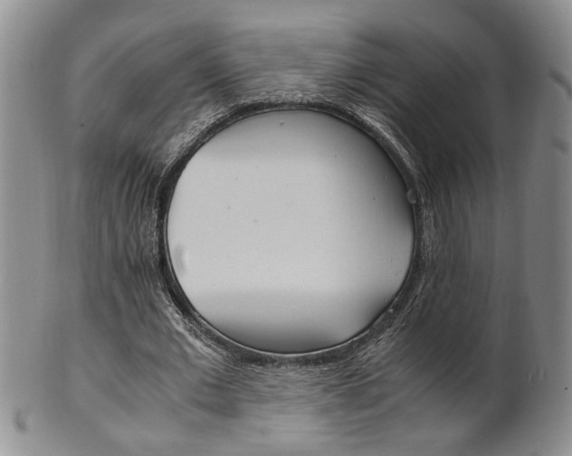 X0000101680677200807101145