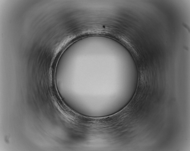X0000101680678200807101145
