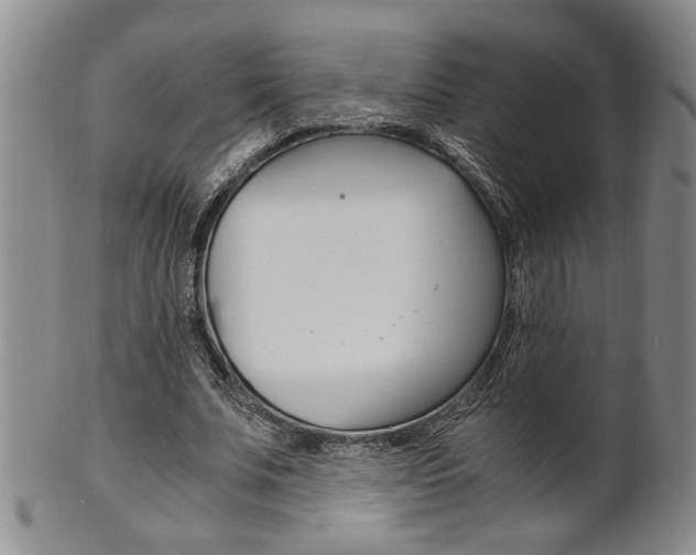 X0000101680679200807101145