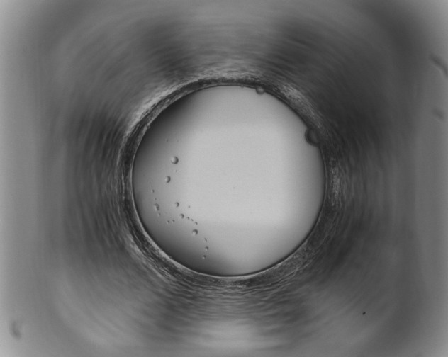 X0000101680680200807101145