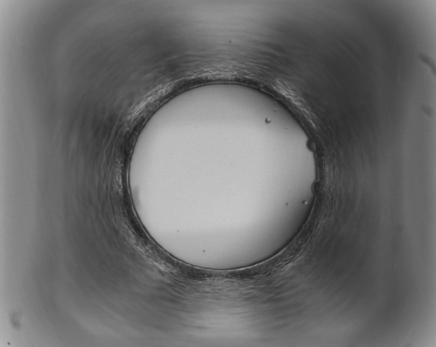 X0000101680681200807101145