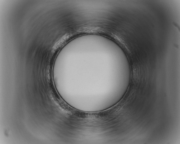 X0000101680682200807101145