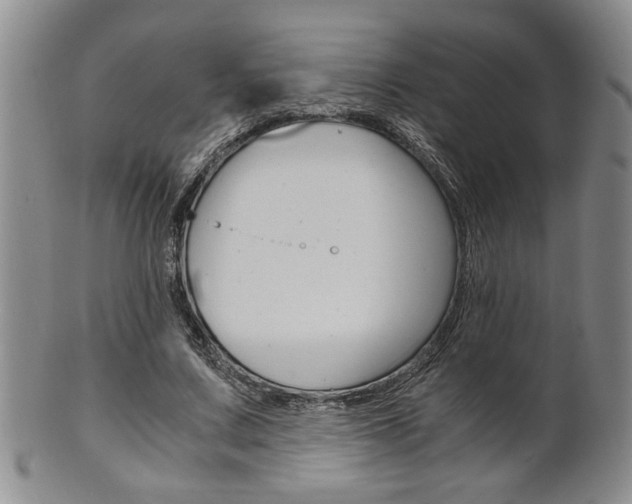 X0000101680683200807101145