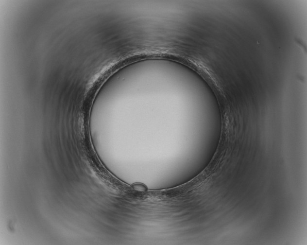 X0000101680684200807101145