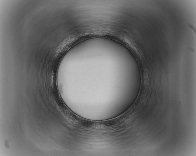 X0000101680685200807101145
