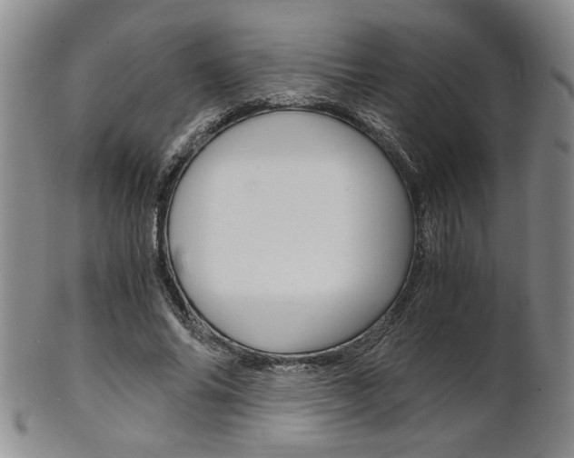 X0000101680686200807101145