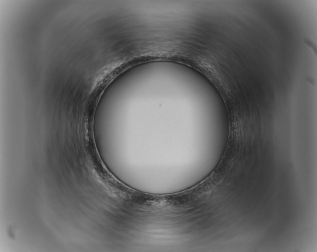 X0000101680688200807101145