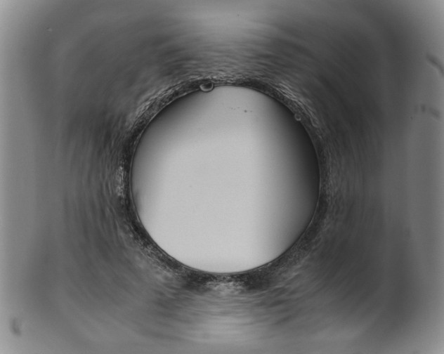 X0000101680689200807101145
