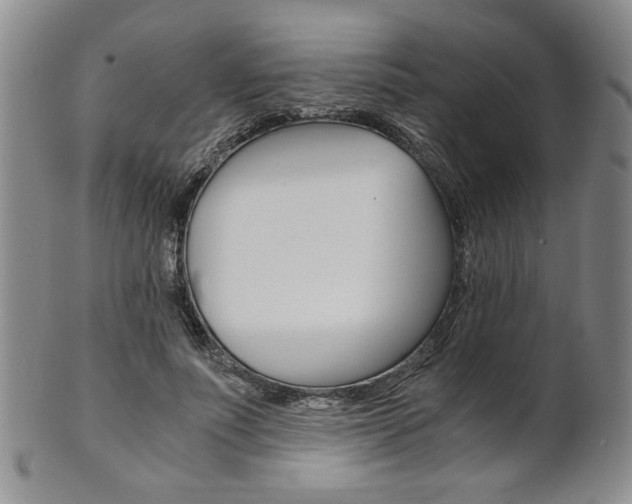 X0000101680691200807101145