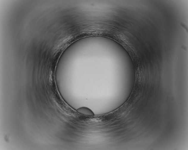 X0000101680692200807101145