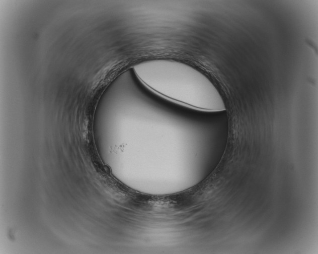 X0000101680693200807101145