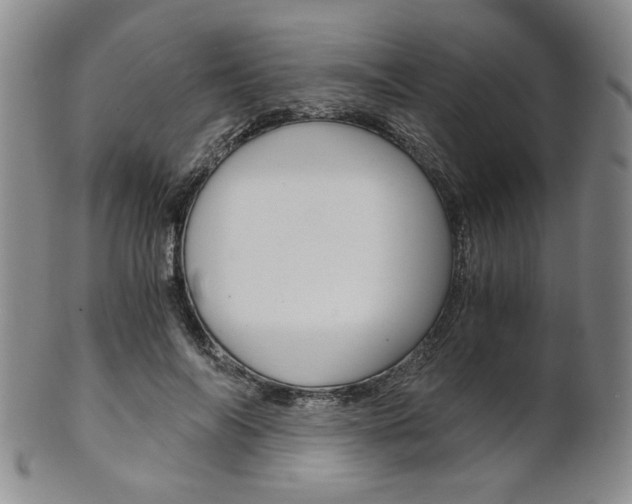 X0000101680694200807101145