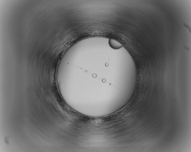 X0000101680695200807101145