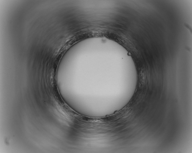 X0000101680698200807101145