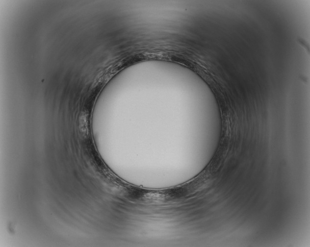X0000101680699200807101145