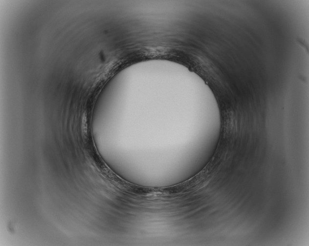X0000101680700200807101145