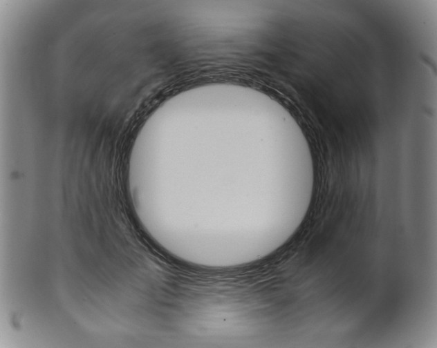 X0000101680701200807101145