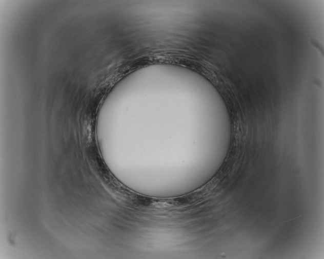 X0000101680703200807101145