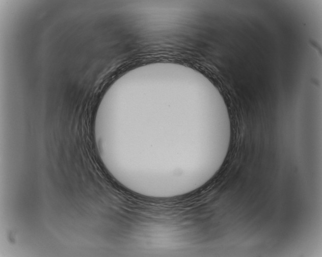 X0000101680705200807101145