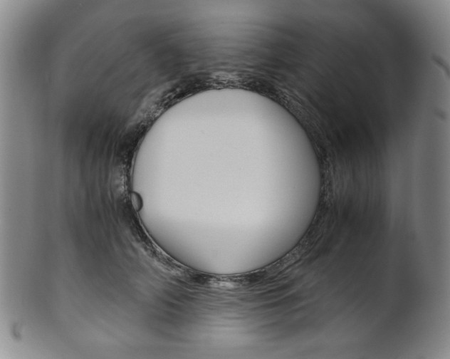 X0000101680706200807101145