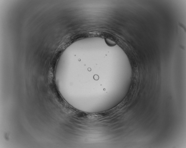 X0000101680707200807101145