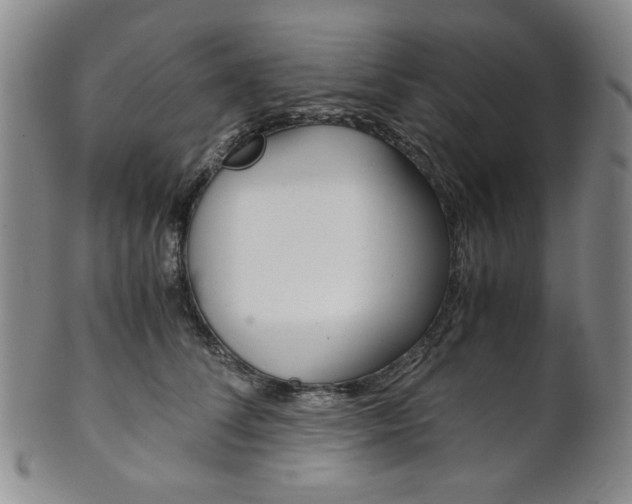 X0000101680708200807101145