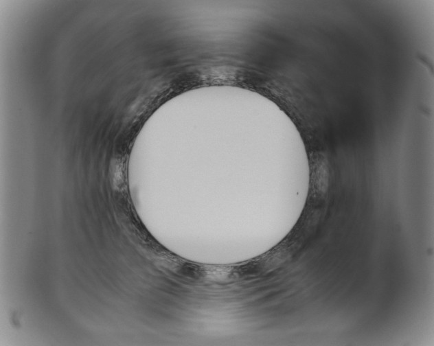 X0000101680709200807101145