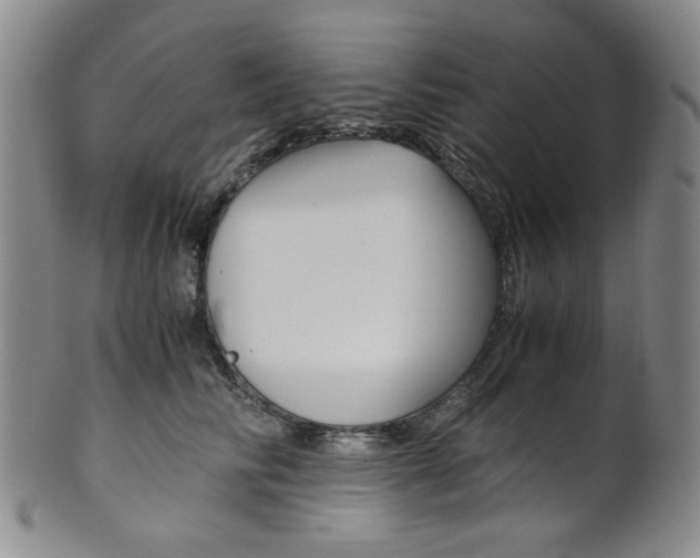 X0000101680710200807101145