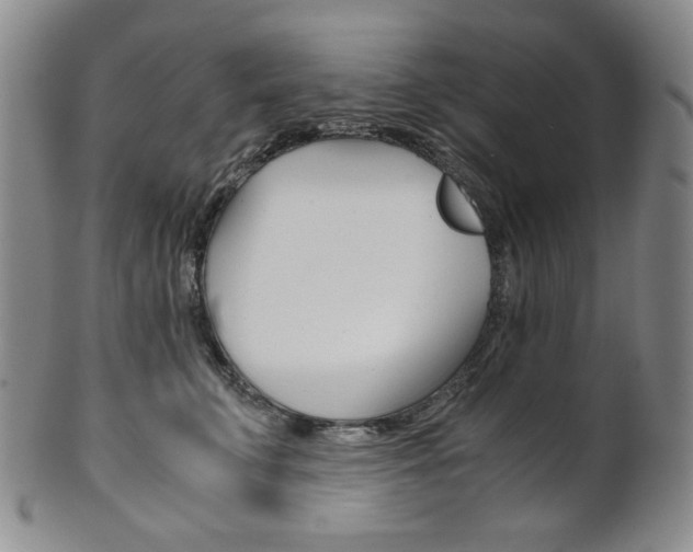 X0000101680711200807101145