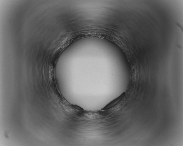 X0000101680712200807101145