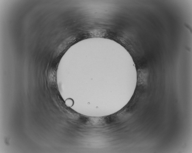 X0000101680713200807101145