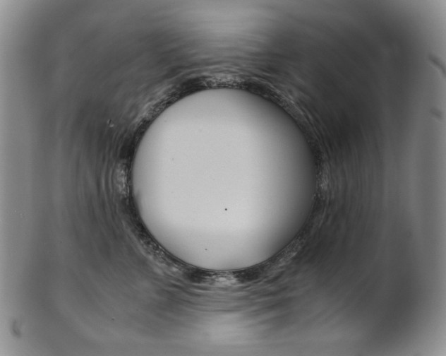 X0000101680715200807101144