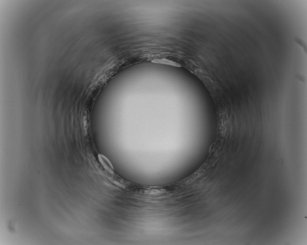 X0000101680716200807101144