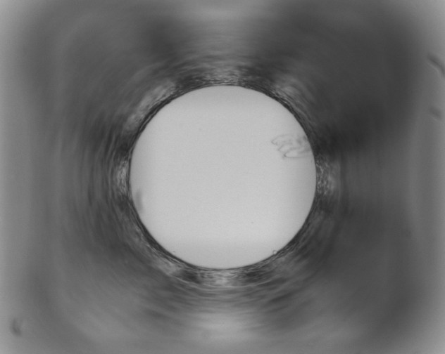 X0000101680717200807101144
