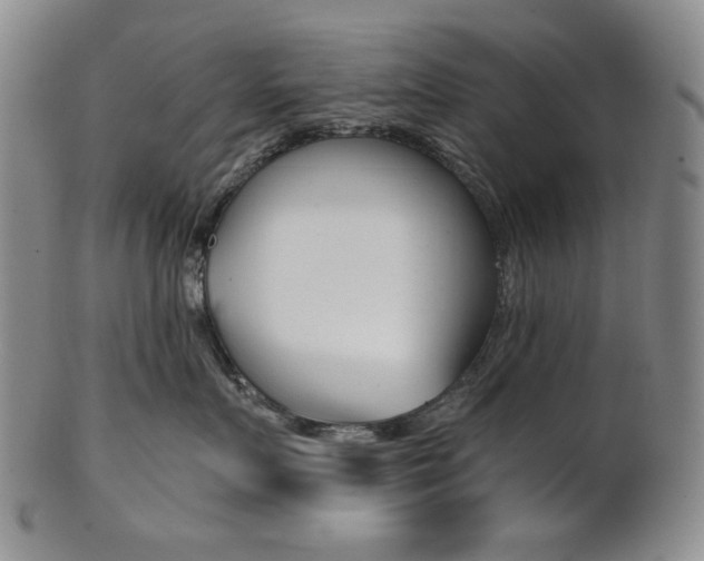 X0000101680719200807101144