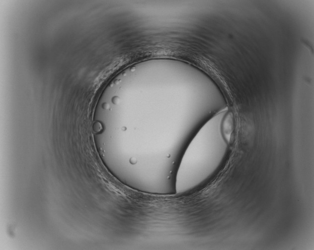 X0000101680721200807101144