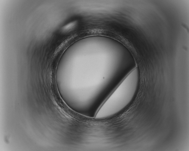 X0000101680722200807101144