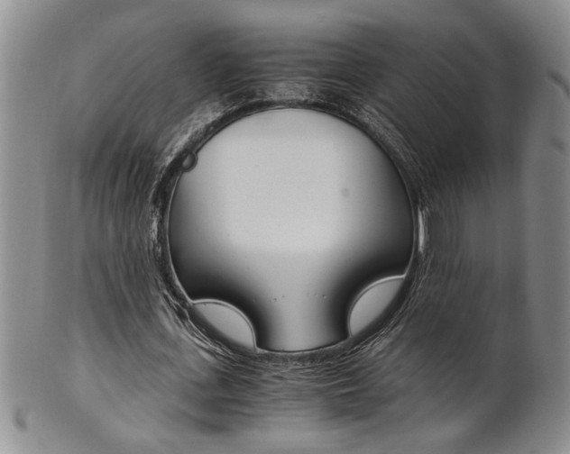 X0000101680723200807101144