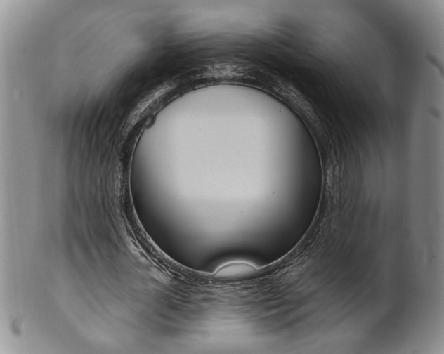 X0000101680724200807101144
