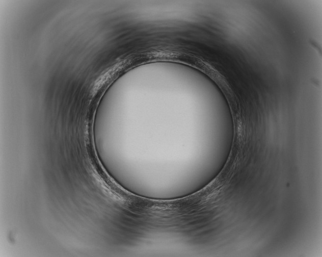 X0000101680725200807101144