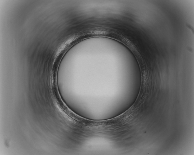 X0000101680726200807101144