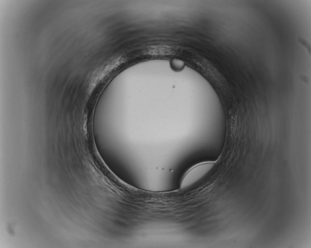 X0000101680727200807101144