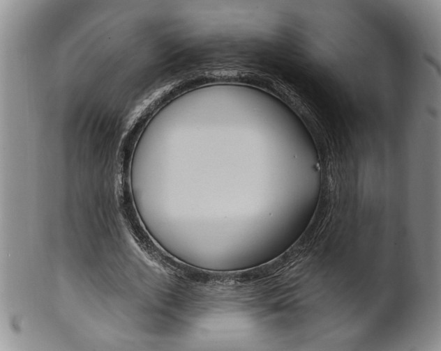X0000101680728200807101144