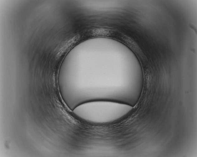 X0000101680729200807101144